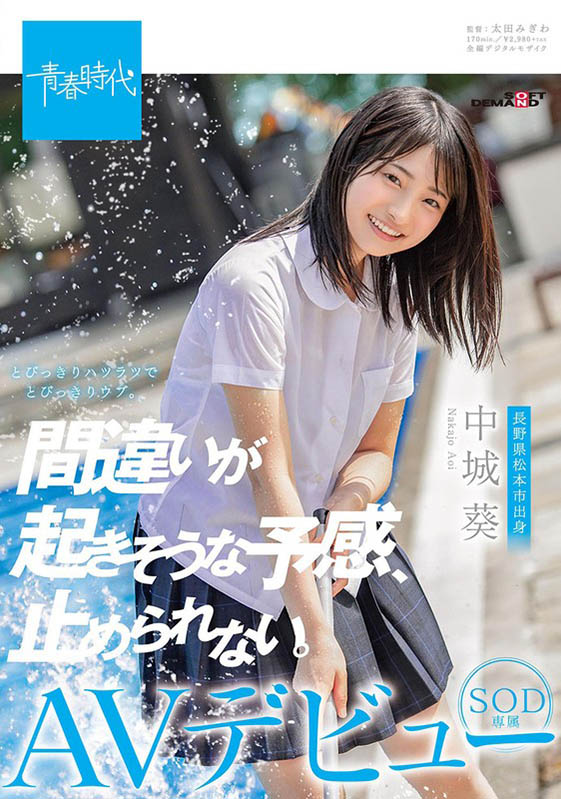 中城葵 品番作品SDAB-114介绍及预览-六美集