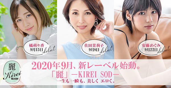 安藤めぐみ(安藤惠，Andou-Megumi)品番作品Kire-003介绍及预览-六美集