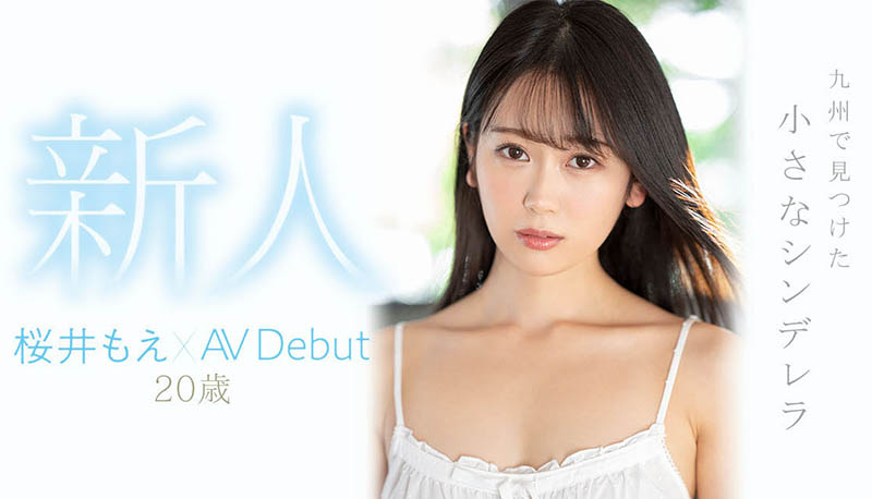 桜井もえ(樱井萌，Sakurai-Moe)品番作品MIDV-066介绍及预览-六美集