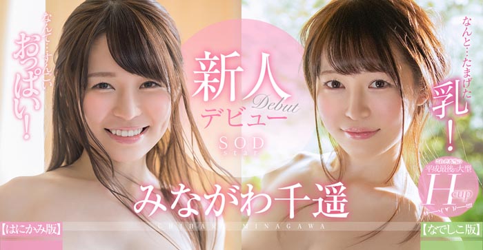みながわ千遥(皆川千遥)品番作品STARS-052介绍及预览-六美集