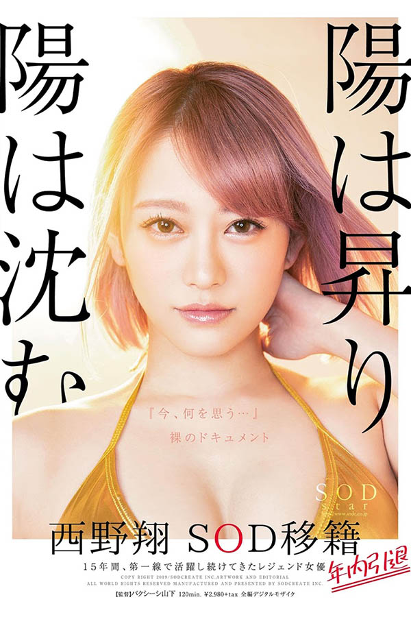 西野翔品番作品STARS-113介绍及预览-六美集