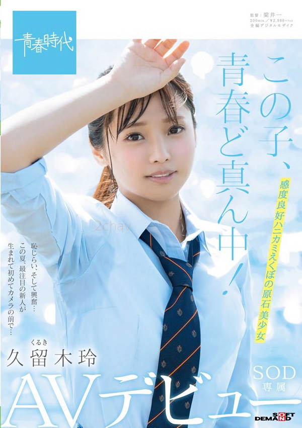 久留木玲品番作品SDAB-100介绍及预览-六美集