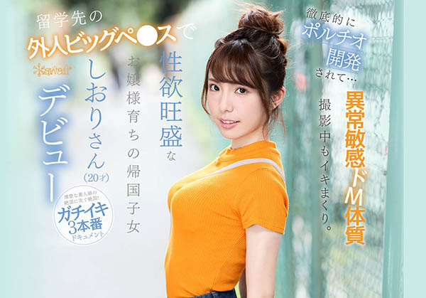 芦那しおり(芦那诗织)品番作品IPX-376介绍及预览-六美集