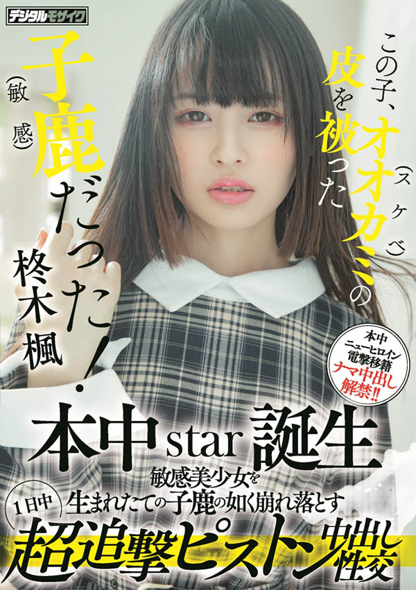 柊木枫(Hiiragi-Kaede)品番作品HMN-049介绍及预览-六美集