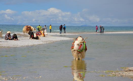 去西藏旅游 高原反应头疼的应对方法-六美集