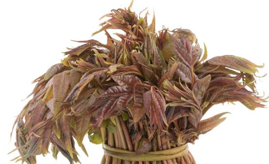 香椿芽的功效与作用 香椿的食用方法-六美集