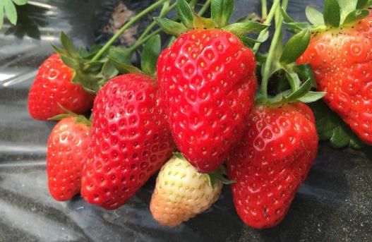 20个保存食物的小妙招 保证让你受用无穷-六美集