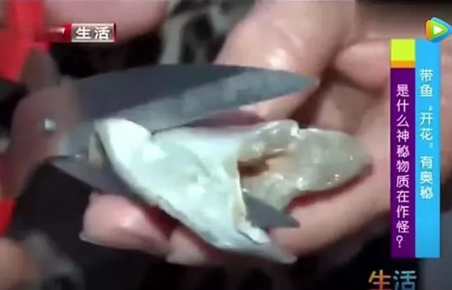 甲醛浸泡过的带鱼一碰热油就扭曲、炸裂“开花”,千万别买别吃