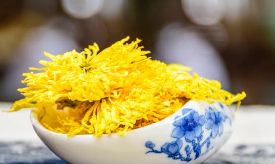菊花茶可不可以天天喝 喝菊花茶需要随泡随饮不要隔夜-六美集