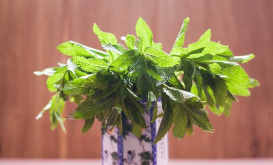 盆景植物的功效超乎想象 茉莉花泡茶有养颜的功效-六美集