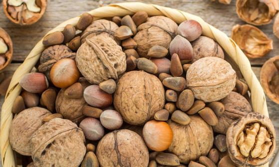 十个食疗偏方治疗健忘症 让你避免记了就忘-六美集