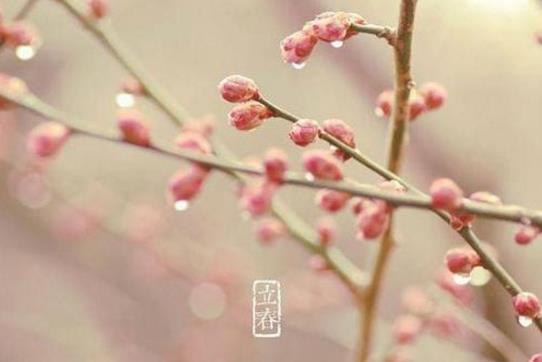 2019年立春是农历几月几日 2019年立春时间-六美集