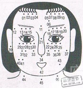 女人痣相图解大全，女人面部痣相图解-六美集