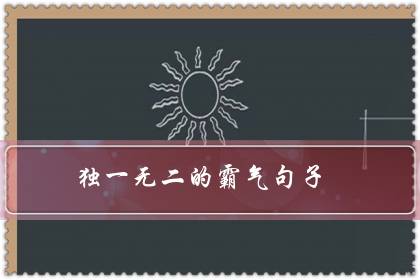 独一无二的霸气句子（野性霸气干净社会句子）-六美集