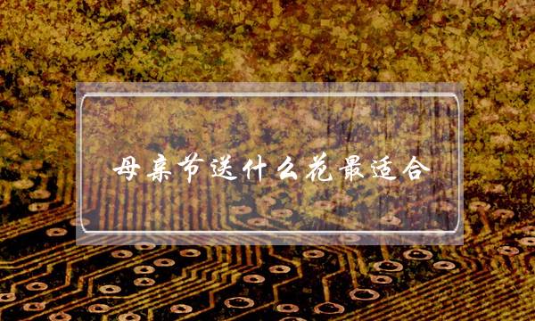 母亲节送什么花最适合(这3种花最适合在母亲节送给妈妈)-六美集