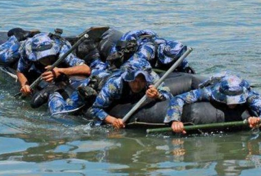 空降兵不属于什么军种 海军陆战队有空降兵吗