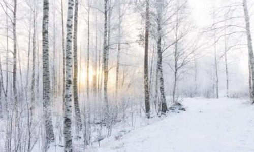 测试你潜意识喜欢谁 三幅雪景图让你明白自己的心意-六美集