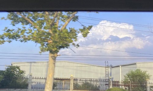 抖音你骄傲的飞远我栖息的夏天是什么歌？任然的歌都很好听