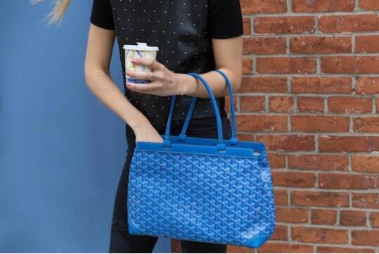 goyard是什么牌子及品牌简介 goyard品牌什么档次
