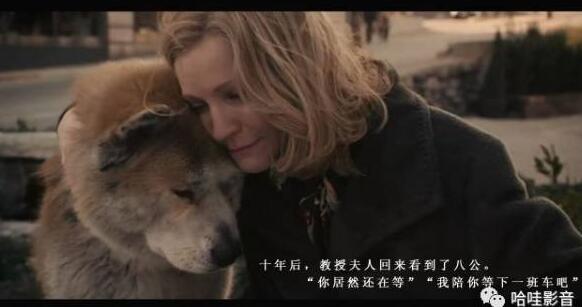 十大最感动的催泪电影 感人电影催泪的电影-六美集