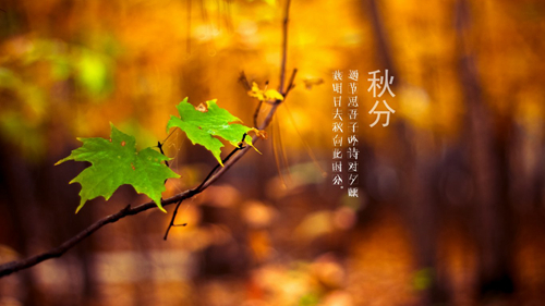 感谢老师对孩子的教育和辛苦的句子 家长感谢老师辛苦的话-六美集