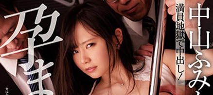 中山ふみか(中山文香，Nakayama-Fumika)品番作品MIDV-090介绍及预览-六美集