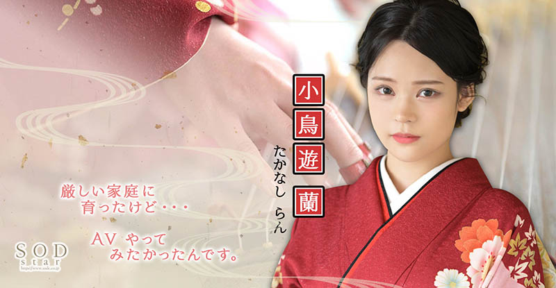 小鸟游兰(Takanashi-Ran)品番作品STARS-600介绍及预览-六美集