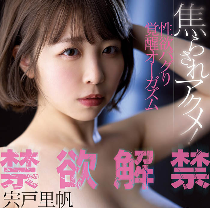 宍戸里帆(宍户里帆，Shishido-Riho)品番作品MIDV-160介绍及预览-六美集