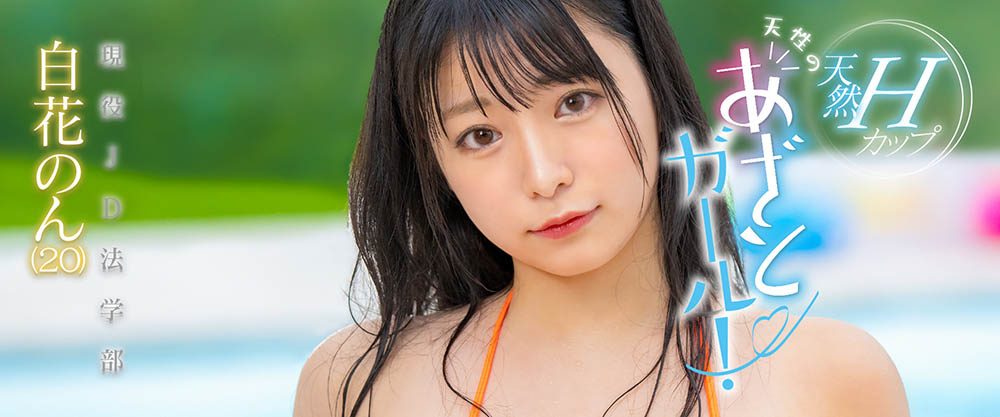 白花のん(白花暖，Shirahana-Non)品番作品MOGI-061介绍及预览-六美集
