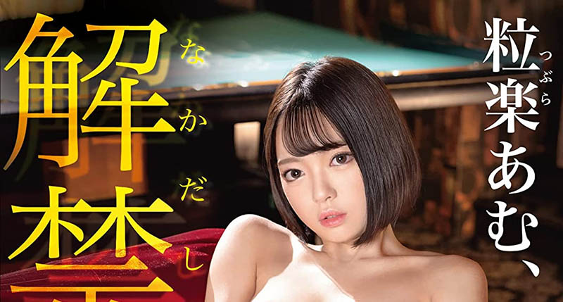 粒楽あむ(粒乐亚梦)最新品番作品ABW-344介绍及预览-六美集