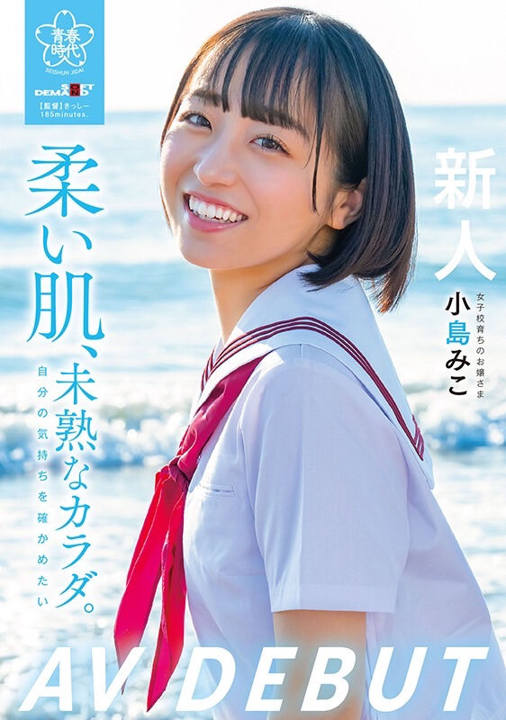 小岛みこ(小岛美子)最新品番作品SDAB-245介绍及预览-六美集