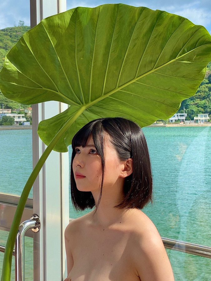 日野莉子(日野りこ）个人资料及品番作品推荐预览-六美集