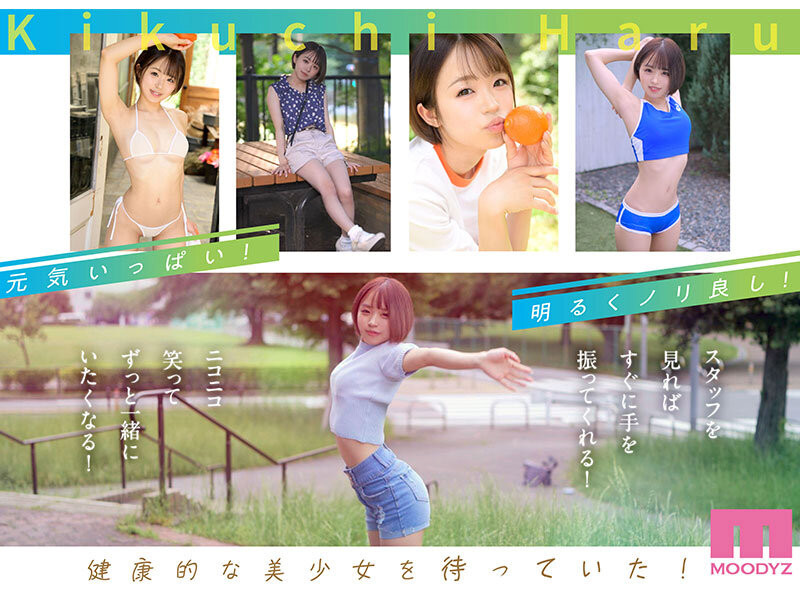 菊池はる(菊池春，Kikuchi-Haru)出道作品MIDV-541介绍及封面预览