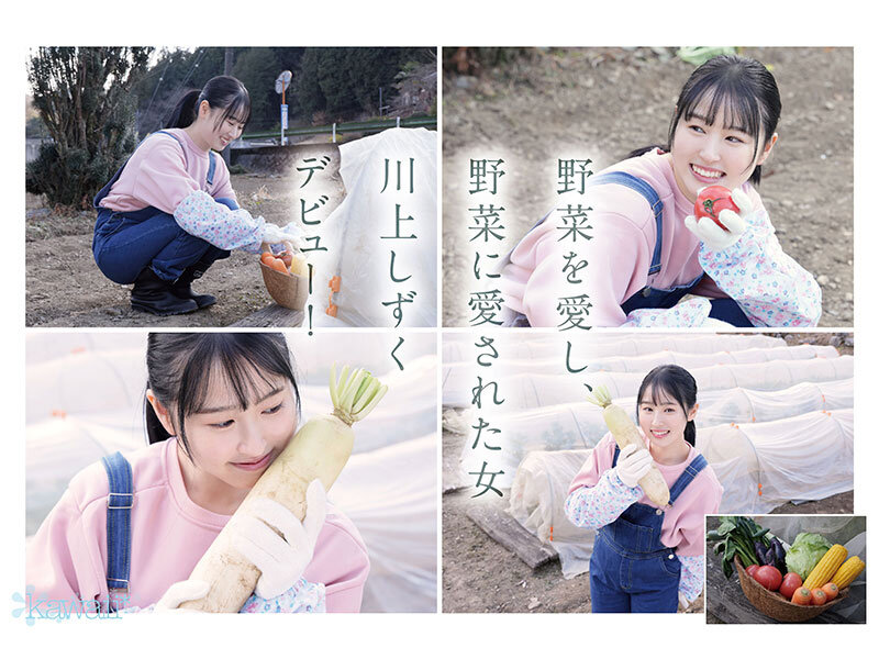 图片[3]-川上しずく(川上滴)最新作品CAWD-699介绍及封面预览-九芳集