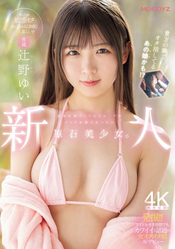 辻野ゆい(辻野唯)最新品番作品MIDA-228介绍及预览-六美集