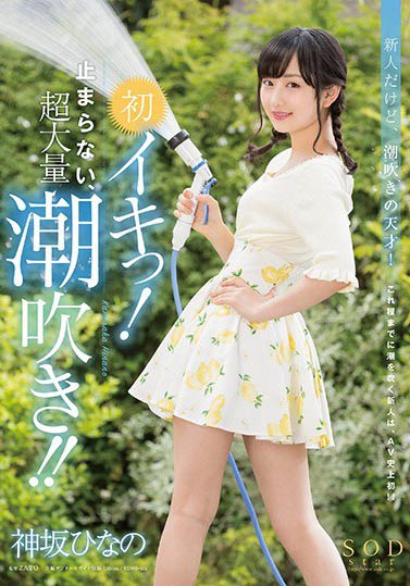 童颜贫乳萝莉 《神坂雏乃》精选作品推荐介绍及封面预览