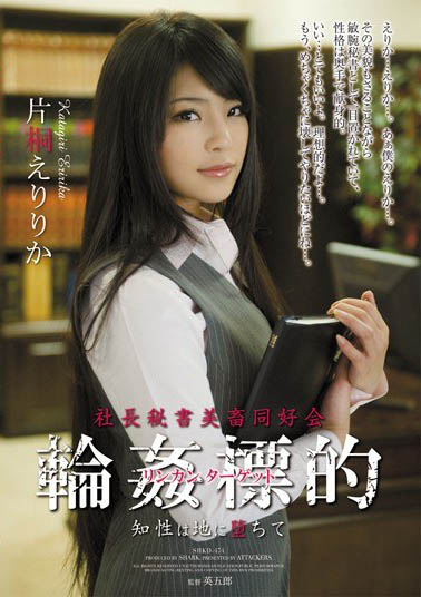 SOD最佳女主角《片桐绘梨梨花》精选作品推荐介绍及封面预览
